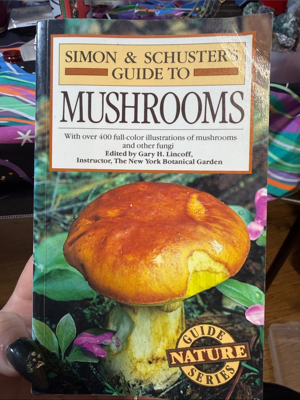 Guide to Mushrooms - Orange Mushroom Cover